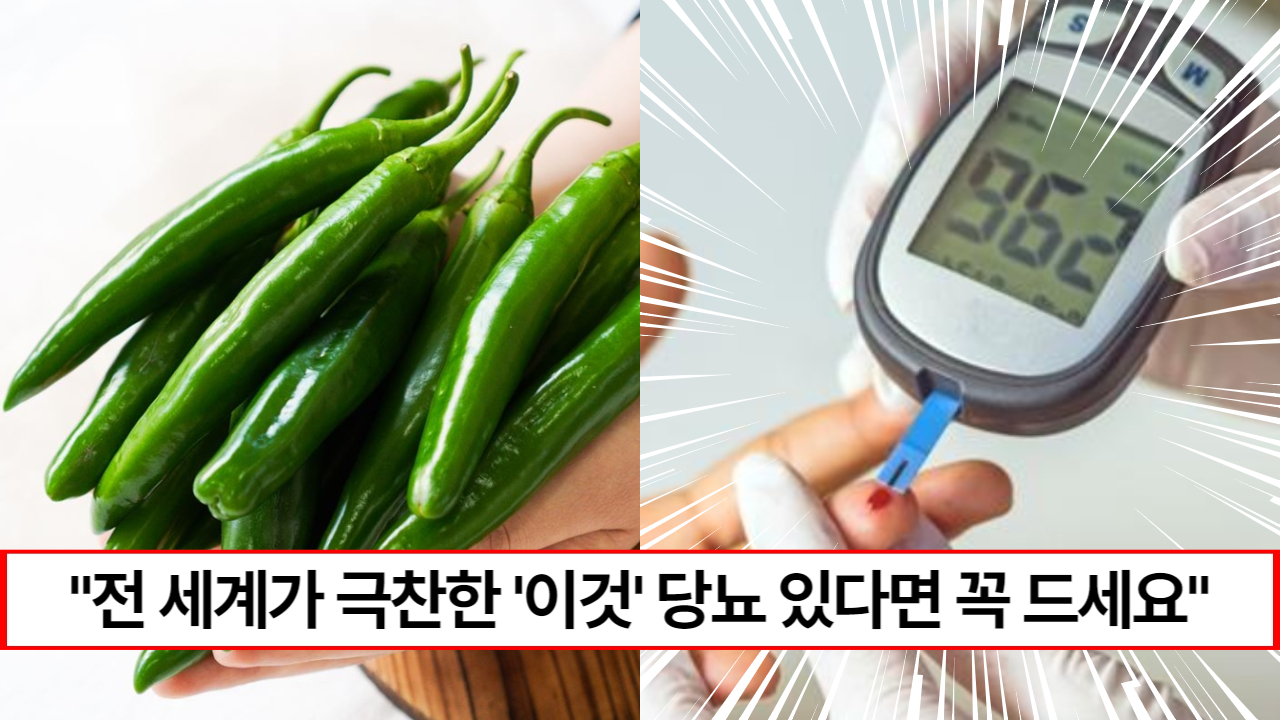 “당뇨약 대신 이거 드세요” 섭치 후 바로 혈당 수치가 내려가는 엄청난 한국산 슈퍼푸드입니다.
